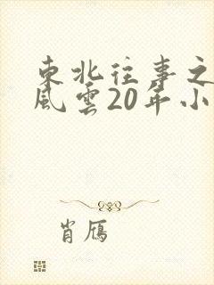 东北往事之黑道风云20年小说