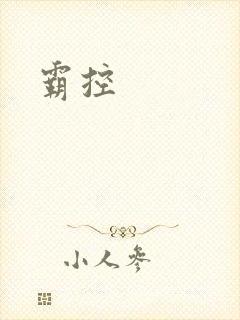 霸控