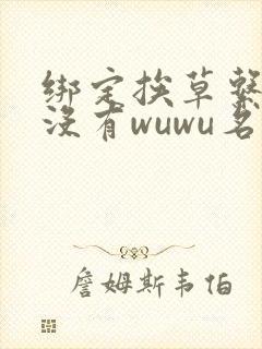 绑定挨草系统后没有wuwu名字
