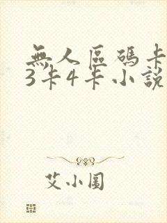 无人区码卡二卡3卡4卡小说封面