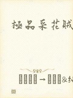极品采花贼