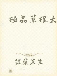 极品草根太子封面