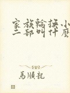 家族轮换小说第二部叫什么名字