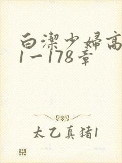 白洁少妇高义第1一178章