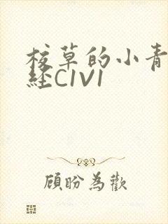 校草的小青梅不经C1V1封面