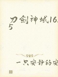 刀剑神域16.5