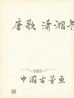 唐歌 潇湘冬儿