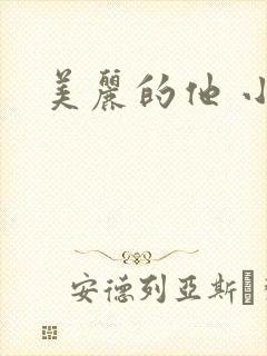 美丽的他 小说