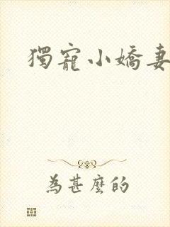 独宠小娇妻封面