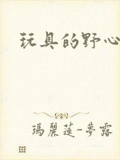 玩具的野心封面
