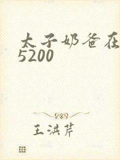 太子奶爸在花都5200