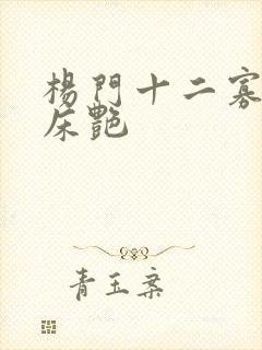 杨门十二寡妇肉床艳
