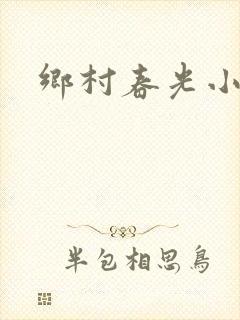 乡村春光小说封面