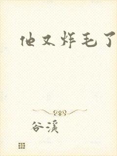 他又炸毛了