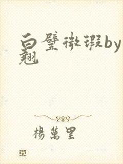 白璧微瑕by连翘