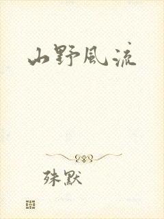 山野风流封面