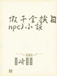 假千金挨日记(npc)小说