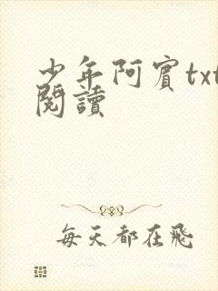 少年阿宾txt阅读封面