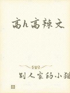 高h高辣文