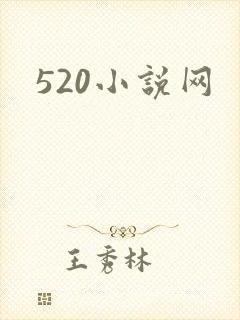 520小说网