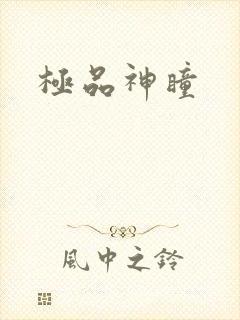 极品神瞳