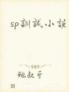 sp训诫小说