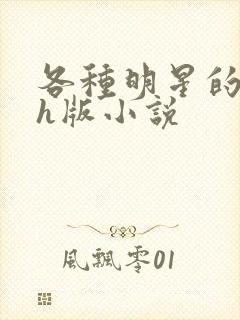 各种明星的综艺h版小说封面