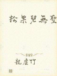 松果儿无圣光封面