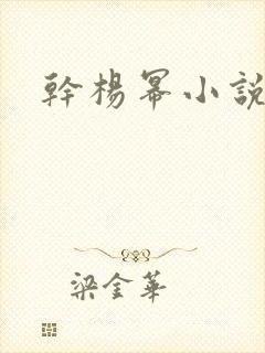 干杨幂小说