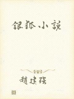 银狐小说封面