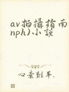 av拍摄指南(nph)小说