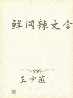 鲜网辣文合集封面