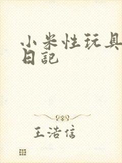 小米性玩具羞辱日记