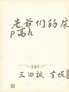 老爷们的床奴np高h