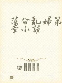 荡公乱妇第51章小说
