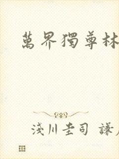 万界独尊林枫封面