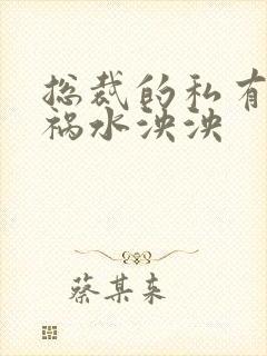 总裁的私有宝贝祸水泱泱