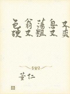 色翁荡息又大又硬又粗又爽小莹