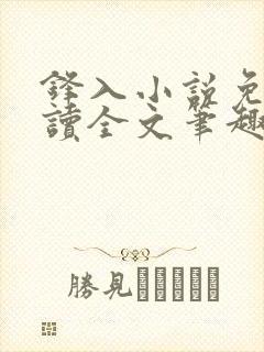 锋入小说免费阅读全文笔趣阁封面