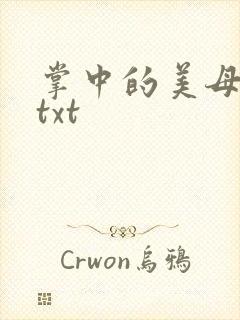 掌中的美母版主txt