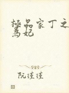 极品家丁之册母为妃封面