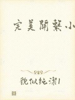 完美关系小说