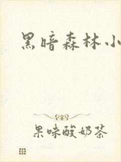 黑暗森林小说