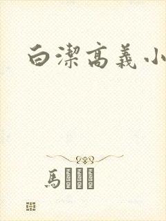 白洁高义小说封面