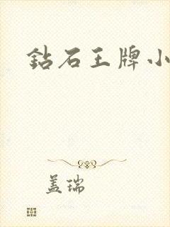 钻石王牌小说
