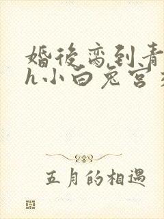 婚后脔到青梅哭h小白兔宫交h