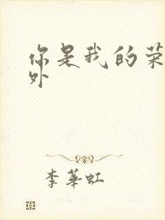 你是我的荣耀番外