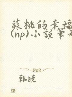 苏桃的幸福生活(np)小说笔趣阁沐沐