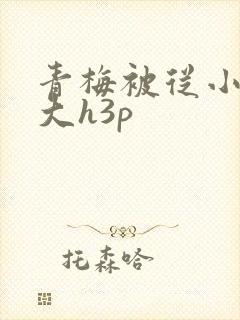 青梅被从小摸到大h3p