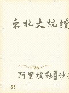 东北大炕续